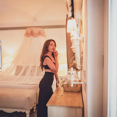 Luxury-pet Friendly Hotel