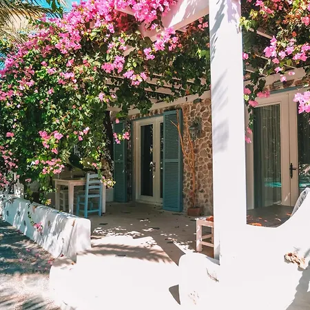Luxury-pet Friendly Hotel *