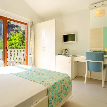 Luxury-pet Friendly Hotel Fethiye