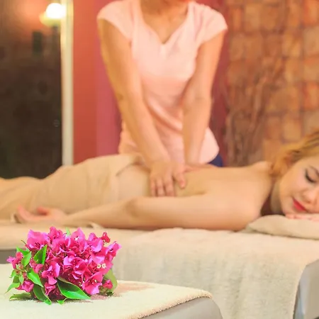 Luxury-pet Friendly 호텔 페티예
